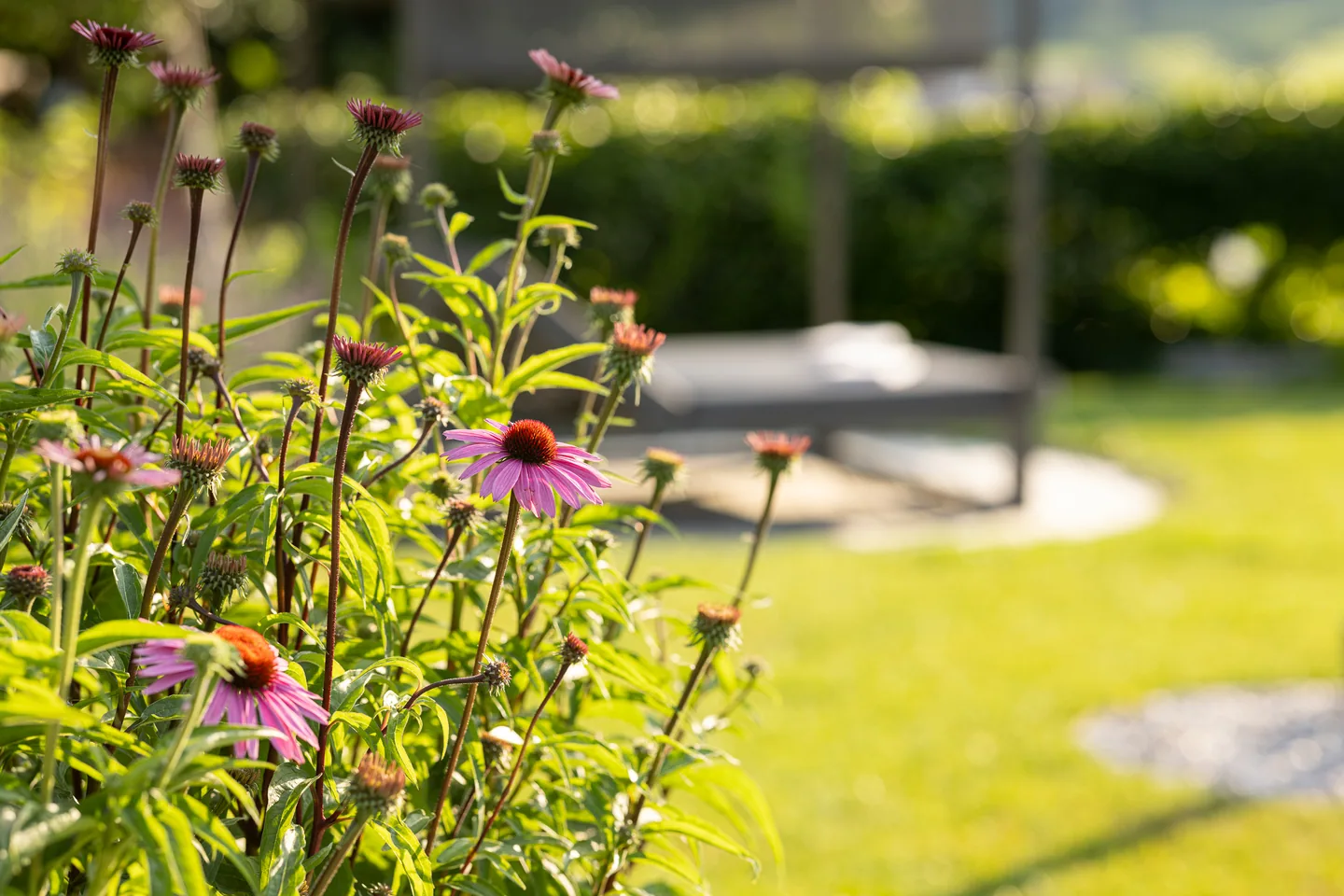 Garten und Liegewiese im Heinrichshof