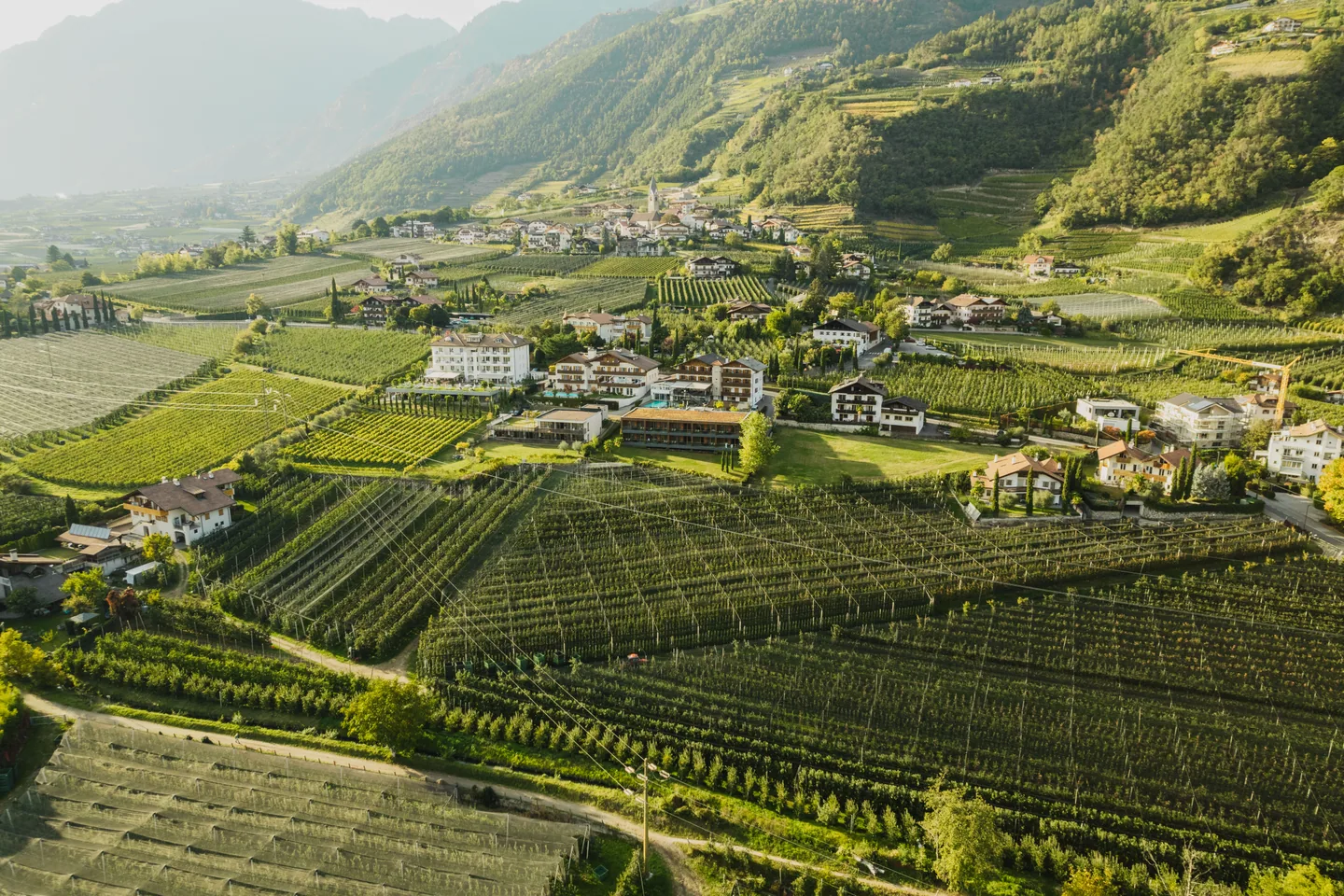 Der Heinrichshof inmitten der Algunder Weinberge